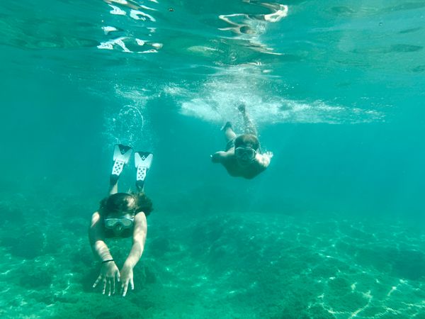 シュノーケルの道具を着けて水中を泳いでいる様子